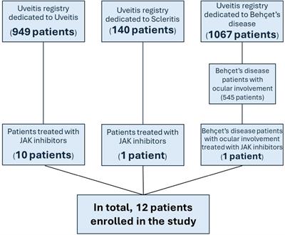 Efficacy and safety of Janus kinase inhibitors in non-infectious inflammatory ocular diseases: a prospective cohort study from the international AIDA network registries